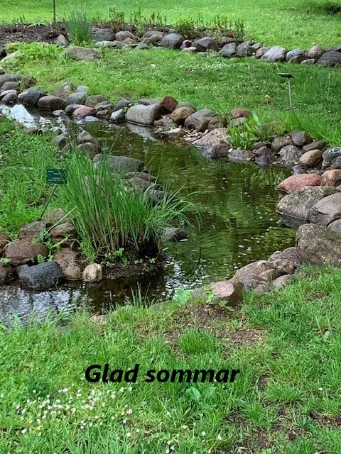 Vattenväxter