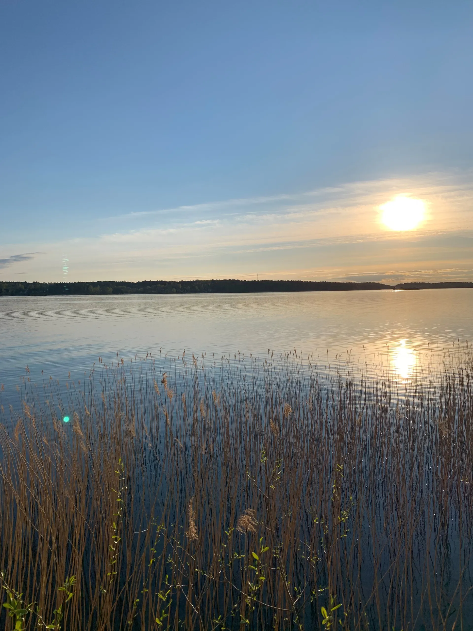 Sommarbild (3)