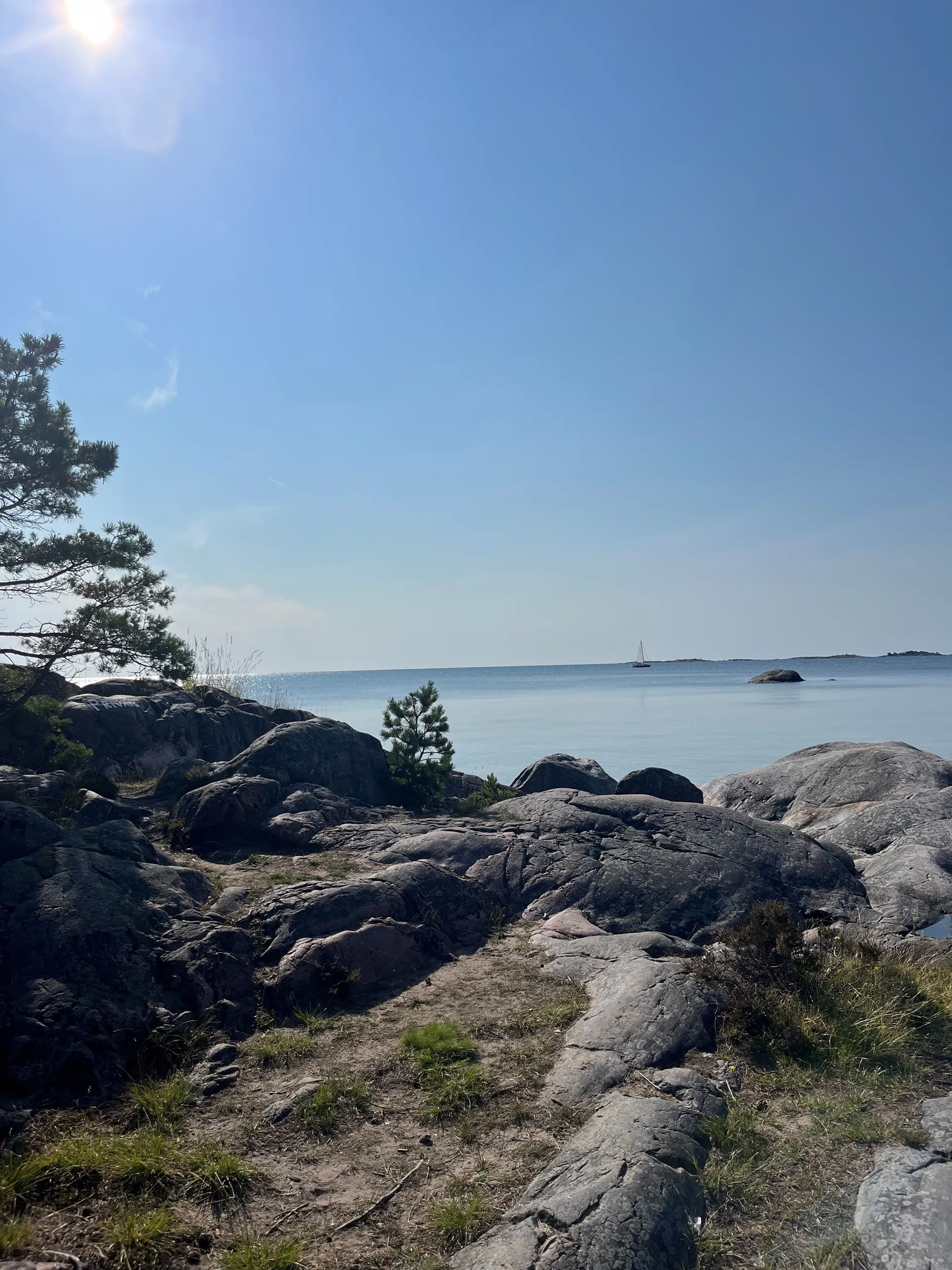 Sommarbild 2025