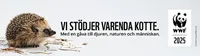 wwf banner 2025